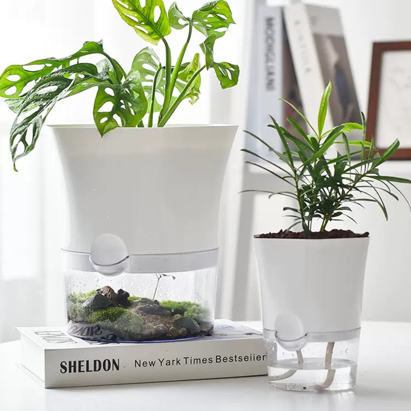Aloe Vera Pot - Transparent Plastic Self Watering Plant Pots