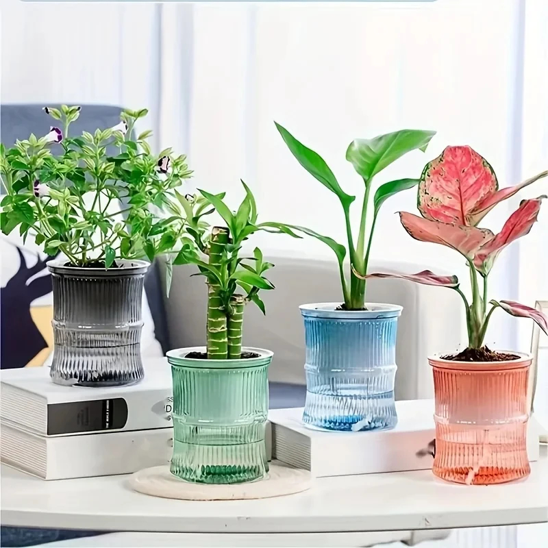 Aloe Vera Pot - Transparent Double Layer Self Watering Planter