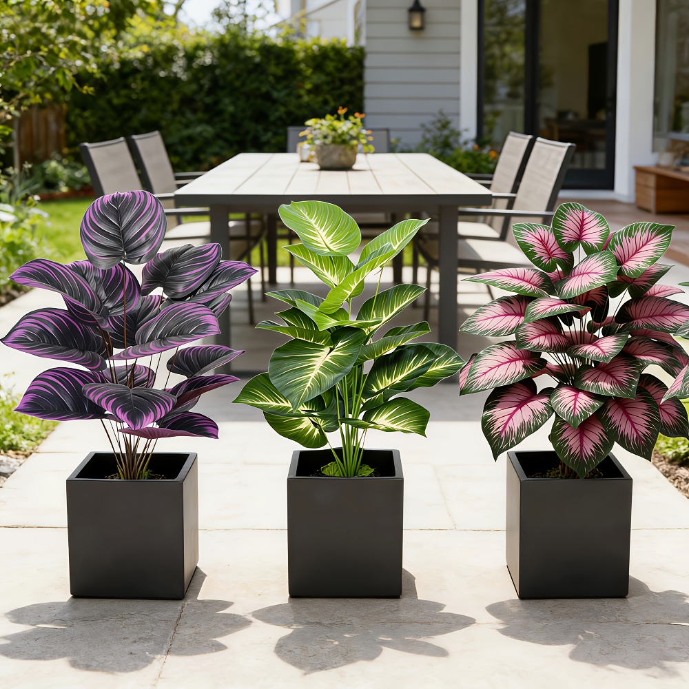 3pc Featuring Various Large-Le - огляд і ціна Ficus Lyrata Tree