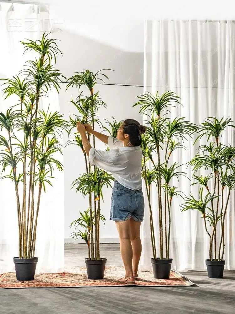 Simulation Dracaena Dracaena M - огляд і ціна Dracaena Marginata