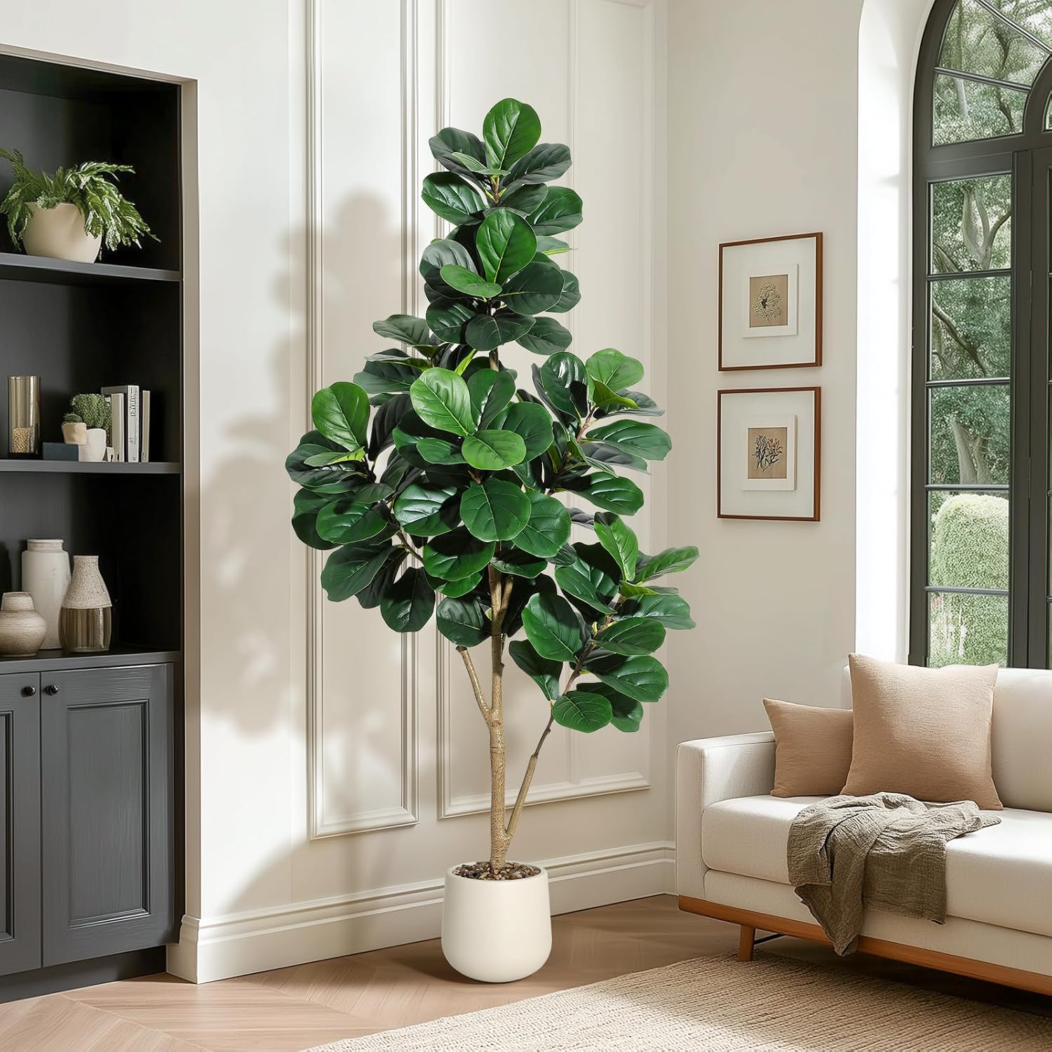 4-7 FT Fiddle Leaf Fig Tree Ar - огляд і ціна Ficus Lyrata Tree