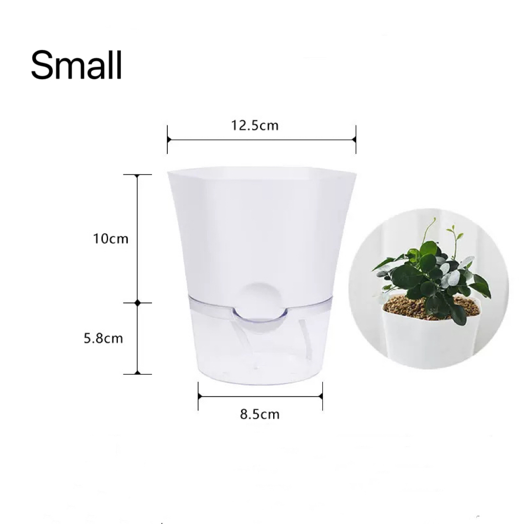 Transparent Plastic Self Water - огляд і ціна Aloe Vera Pot