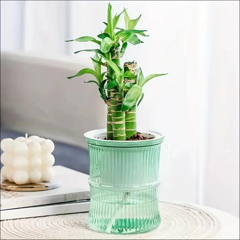 Transparent Double Layer Self  - огляд і ціна Aloe Vera Pot