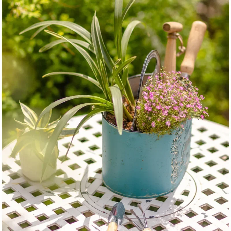 Blue Hanging Wall Planter Aged - огляд і ціна Spider Plant Hanging