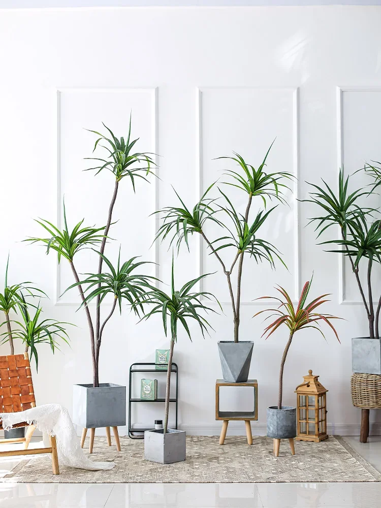 Simulation Plant Dracaena Marg - огляд і ціна Dracaena Marginata