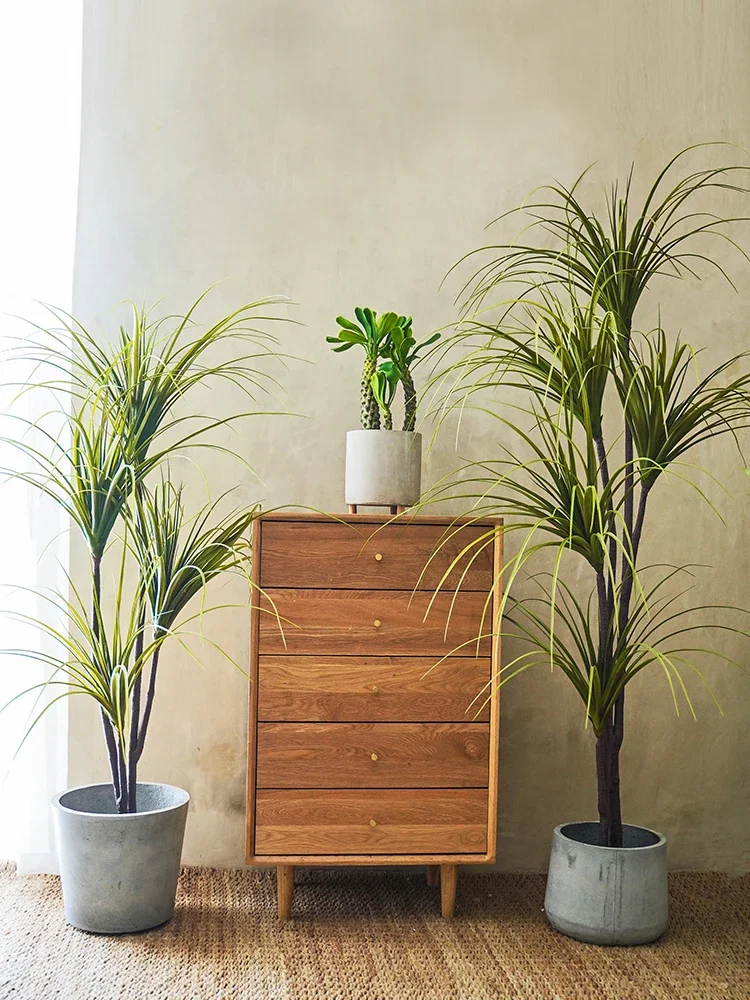 Simulation Plant Dracaena Marg - огляд і ціна Dracaena Marginata