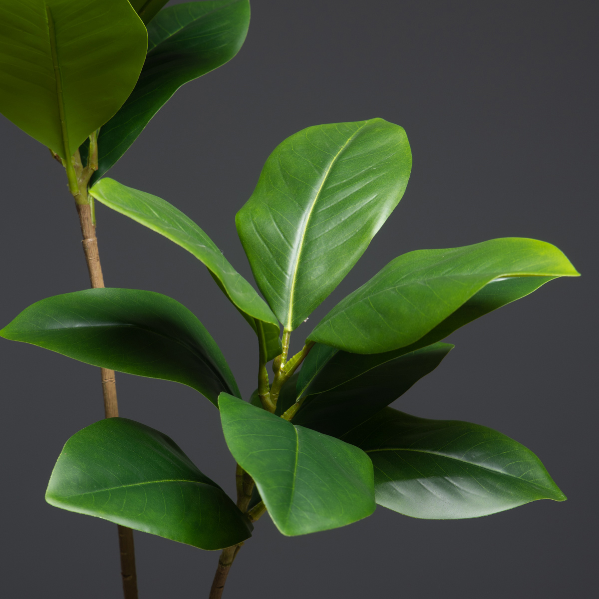 105cm 2 Forks Large Artificial - огляд і ціна Dracaena Marginata