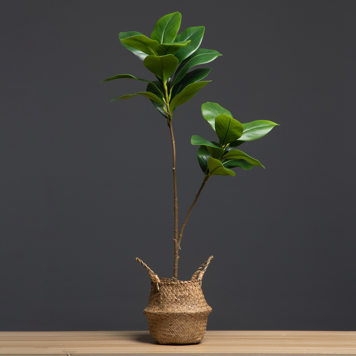 105cm 2 Forks Large Artificial - огляд і ціна Dracaena Marginata